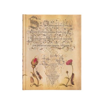 Caderno Colegial Capa Dura 144 Folhas Com Pauta - Flemish Rose Ultra