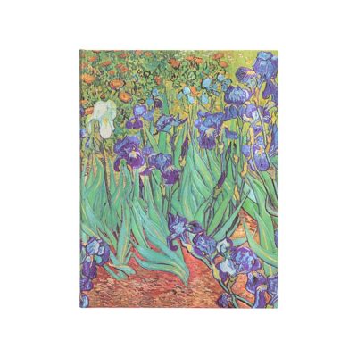 Caderno Colegial Capa Dura 144 Folhas Com Pauta - Van Gogh's Irises Ultra